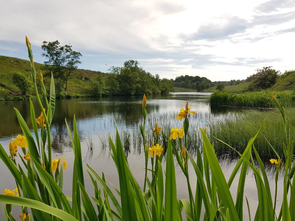 Rothley Lower Lake tweet media