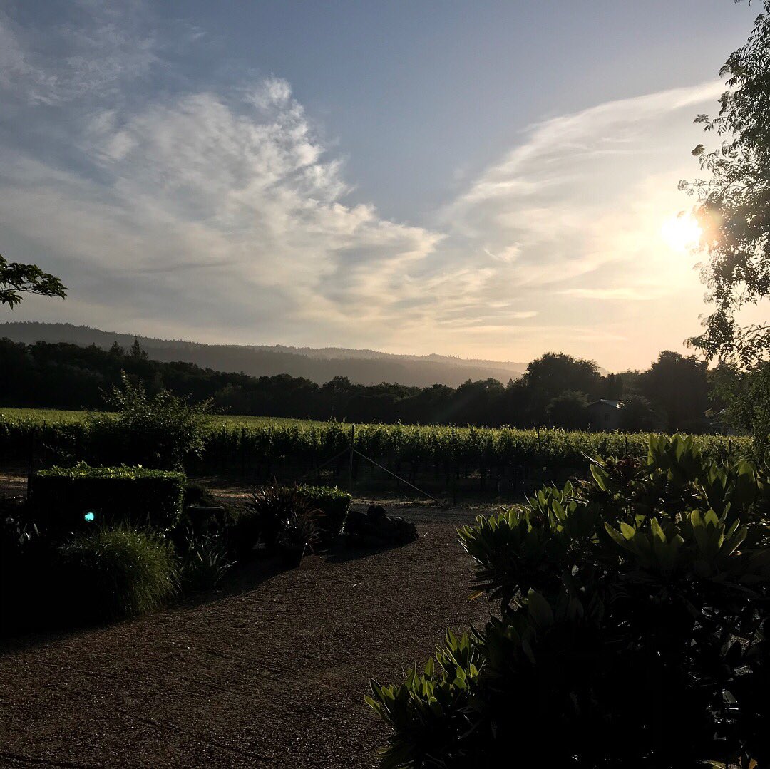 ise_sue's tweet photo. Napa! Not used to drinking wine in the morning and afternoon, but think I could get used to it! https://t.co/xI5BWZwuOJ