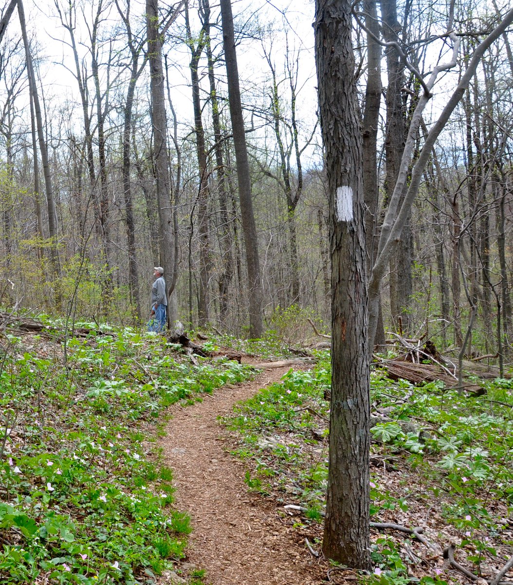 Appalachian Trail Conservancy tweet media