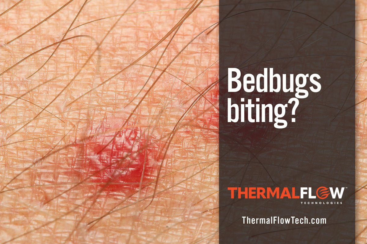 ThermalFlowTech's tweet image. We get it, you’ve been bitten before. Even though a proper heat treatment can handle any #BedBug problem, you may feel more comfortable with chemical applications. You can use heat treatments alone or in conjunction with chemical applications. Either way, we’ve got you covered.