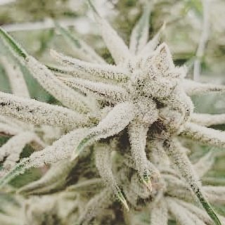 fcnutrients's tweet image. 