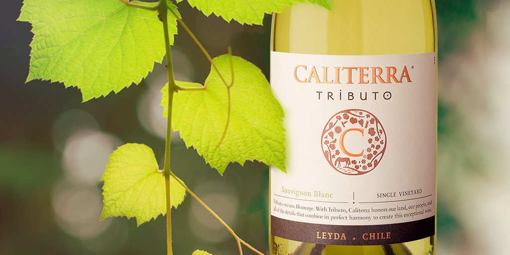 Viña Caliterra tweet media