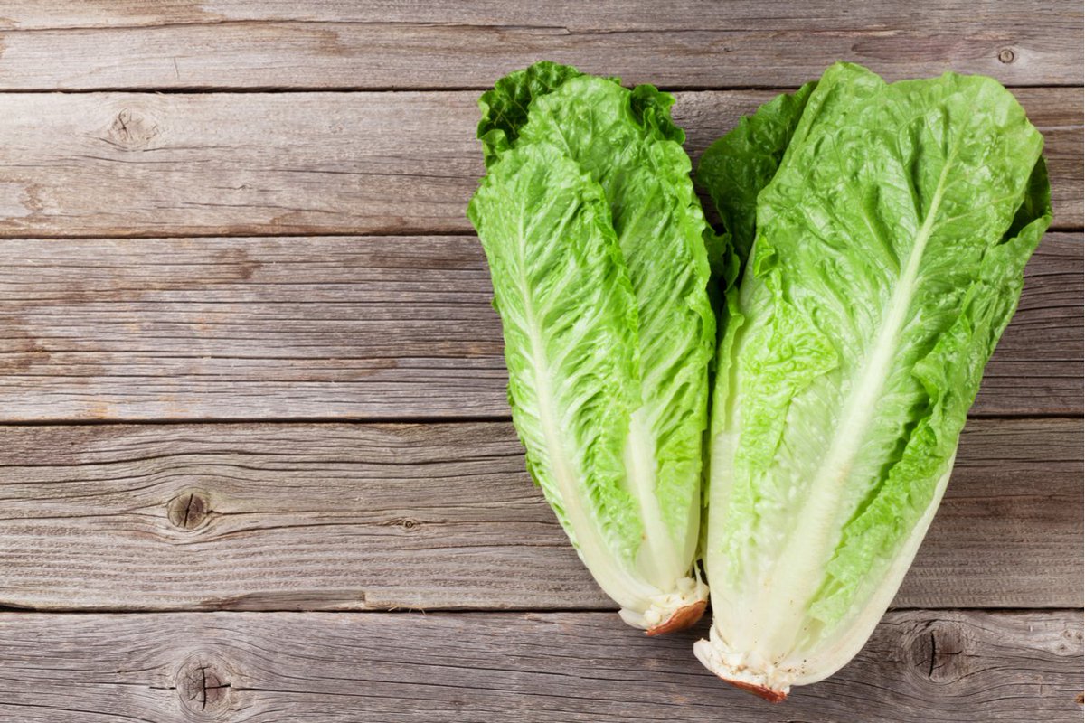 miiMDdotcom's tweet image. It may be safe to eat romaine lettuce again. For more details visit: bit.ly/2M3gogy