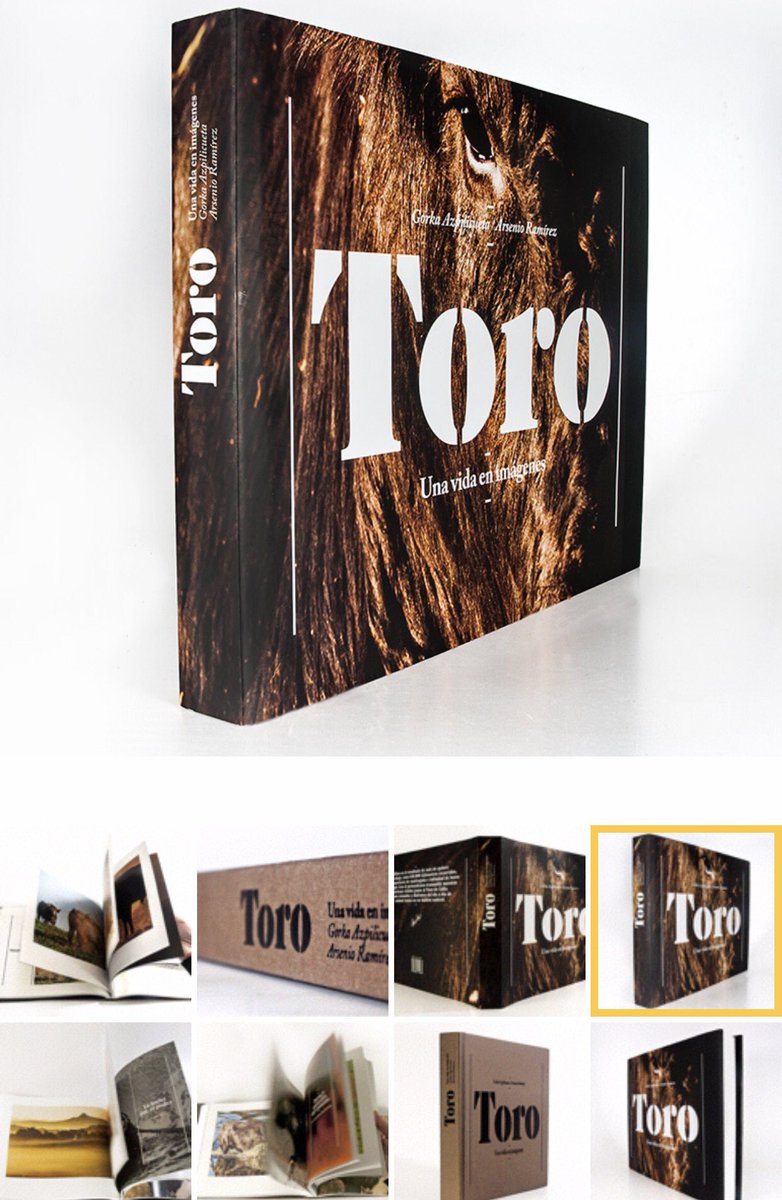 PorlasRutasdelToro tweet media