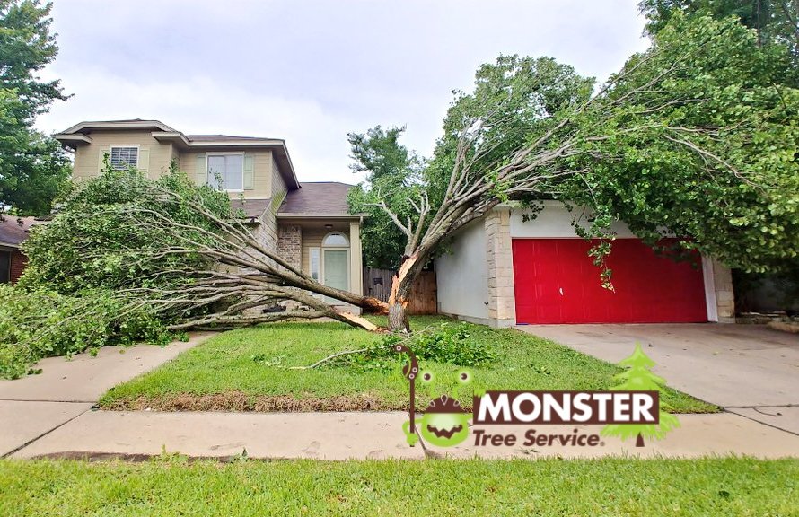 monstertree_atx's tweet image. We hope everyone “weathered” yesterdays storm. If you have any dangerous trees that need attention, please don’t hesitate to give us a call. #monstertreeservice #5126079843
#treecare #treeservice #treetrimming #treecutting #treestumpremoval #treeremoval #arborist #stihl