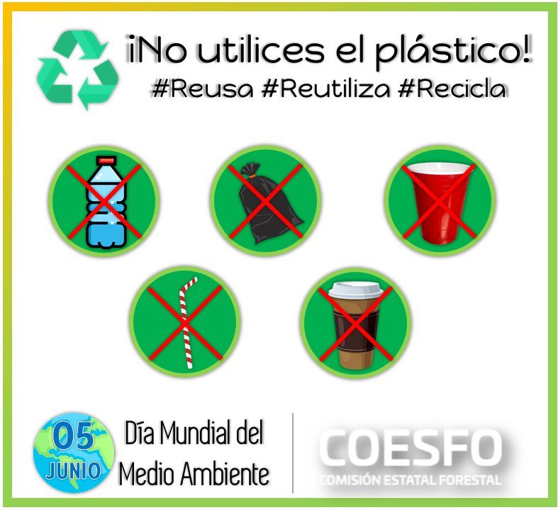 Comisión Estatal Forestal tweet media