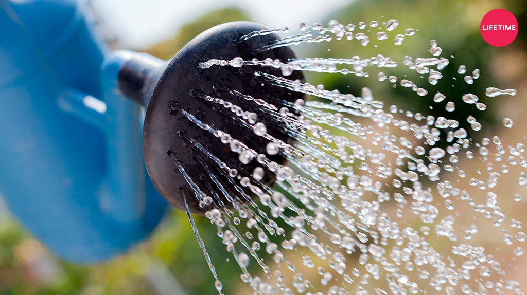 MiLifetime's tweet photo. ¡Aprovecha el agua tomando duchas cortas! Evitando los baños de inmersión puedes ahorrar hasta un 50% tu consumo de agua https://t.co/Qu6TjIZV2o