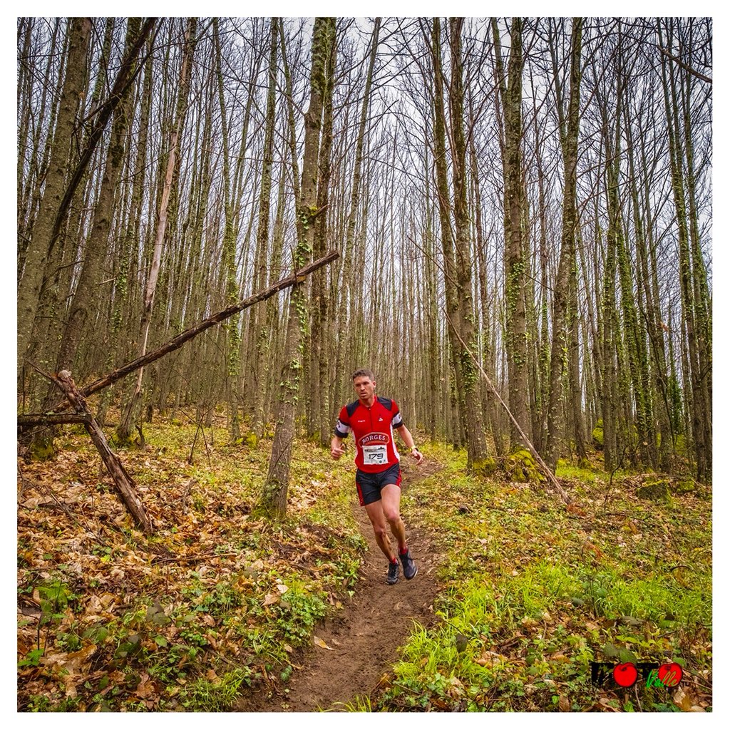 borgestrail tweet media