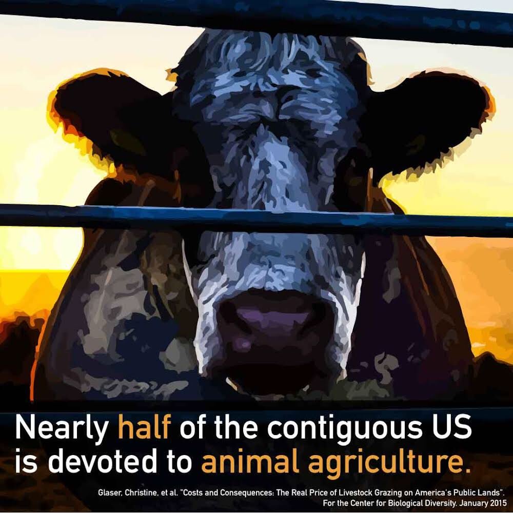 🌱Adopting a vegan lifestyle is the best way to save the planet. #worldenvironmentday 🌎Everyday, a person that eats a plant-based diet saves 1,100 gallons of water, 45 pounds of grain, 30 sq. ft. of forested land, the equivalent of 20 lbs. of CO2 and one animal’s life.