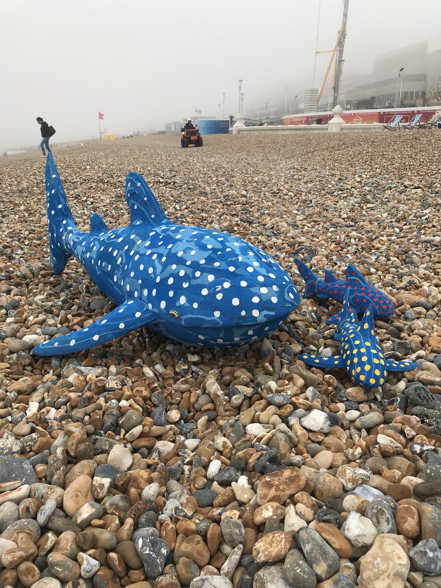 OceanSoleUK's tweet photo. @whaleshark01 thank you so much for all you have done and continue to do for Whale Sharks. Your friend Bec Andrews @TempestInn commissioned an extra large whale shark made from flip flops and told us all about you. We think you’re a modern day eco rock star. 💚💛❤️ https://t.co/1tyAuUpxH7