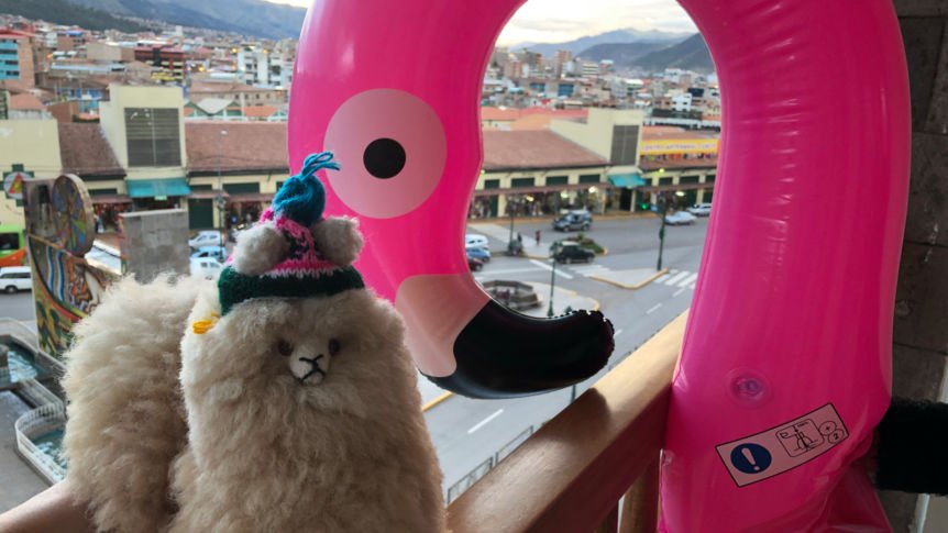 Tui Deutschland Reisereporter18 Jane Julia Auf Gebeco Studienreise In Peru Immer Mit Dabei Gummi Flamingo Heinz T Co Grrgn23xxx Reisereporterde T Co Ysoavhsyij