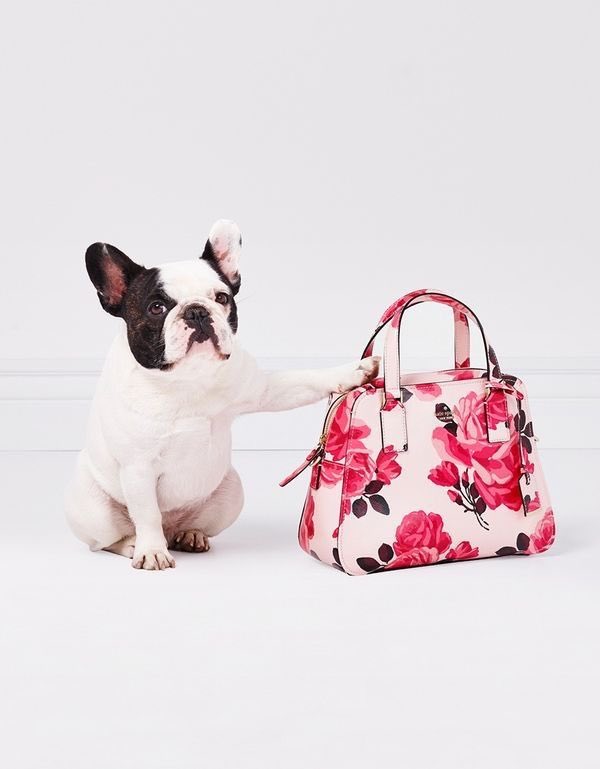 JEverAfter's tweet image. So incredibly sad about Kate Spade. Her fashion, style, and designs were undeniably inspirational and creative. Suicide is real. Listen and take action to help others.

If you are in crisis, call the National Suicide Prevention Lifeline at 800-273-8255 #katespade