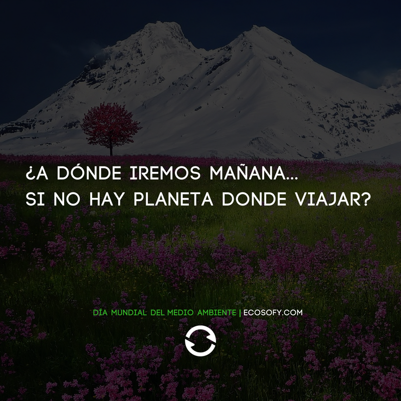 ecosofy's tweet photo. ¡Feliz día mundial del medio ambiente! #DiaMundialDelMedioAmbiente #WorldEnvironmentDay https://t.co/Ho6IzHIExU