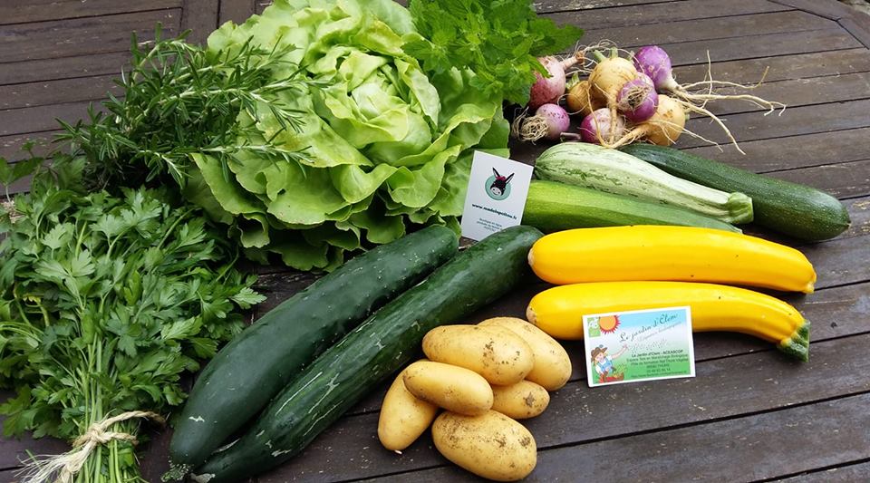 MC_Brajard's tweet photo. Panier de légumes bio locavore de la semaine en provenance du maraîcher Le Jardin d'Clem à Thuré. Les salades sont encore pleine de rosée. ... 
#madeinpoitou #bio #légumes #produitslocaux #panierdesaison #panierlocal #poitou #locavore #jemangelocal https://t.co/38PZ7fVWzD