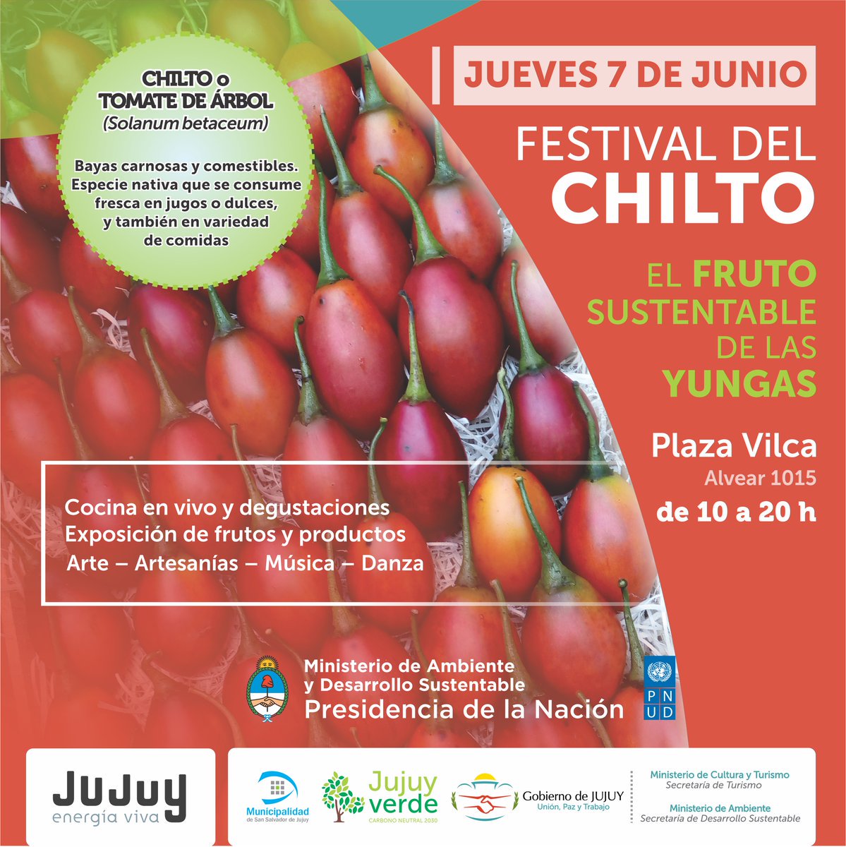 GobiernoJujuy's tweet photo. Festival del #Chilto en la Plaza Vilca. https://t.co/mZBNOuSzba #JujuyEnergíaViva https://t.co/9uXCUcMYvv