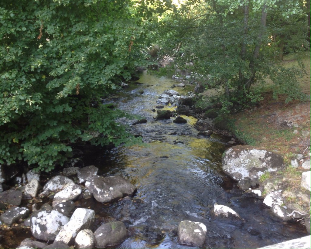 chaplainchat's tweet image. He leads me beside fresh waters. faithwaysblog.com/2018/06/05/he-…