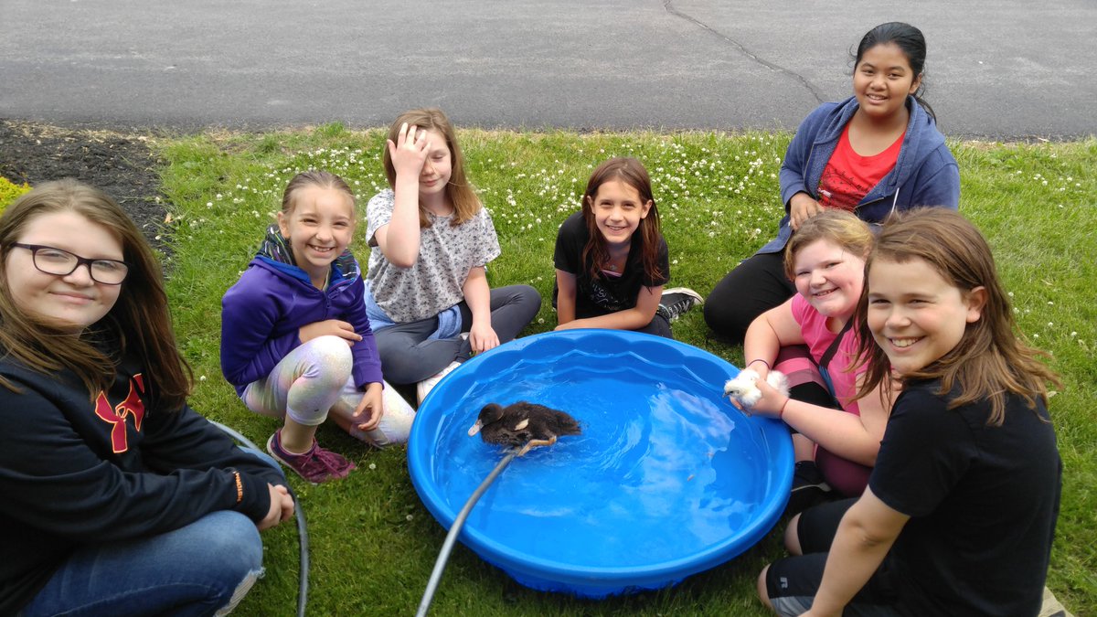 Mrs_NorrisPRS's tweet photo. He likes his new pool!#prs50@paulroadschool https://t.co/h9Pi3wAuBJ