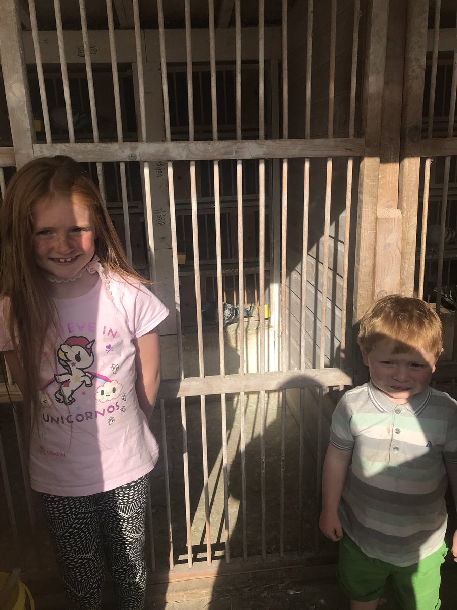 eastergagie's tweet photo. @mattocks_ps more activities for Lola and Charlie tonight!  Riding bikes, practicing gymnastics and helping dad with the racing pigeons #mattocks2cool4school https://t.co/p9SMusTiLi