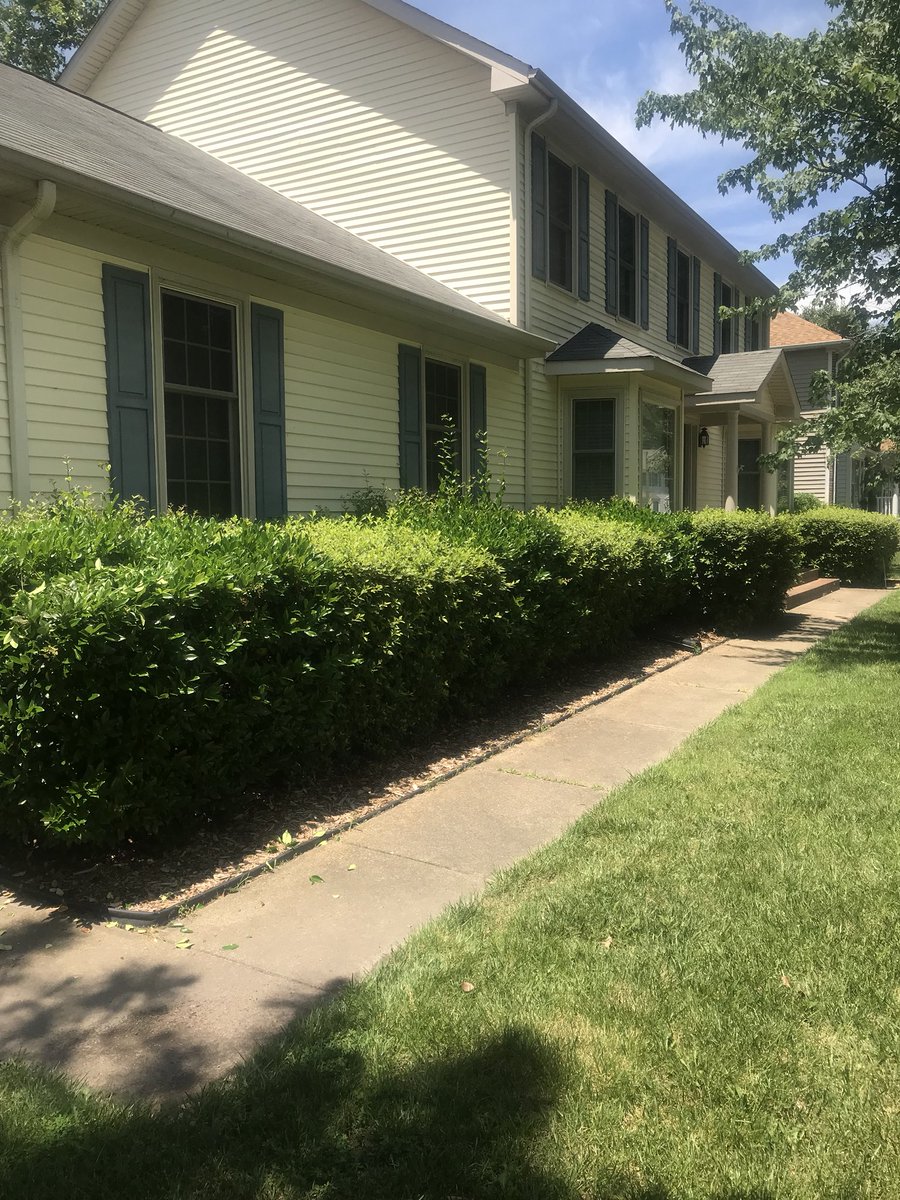 LAWN_GUY_757's tweet photo. ✂️✂️✂️ https://t.co/H5ctTHTxM7