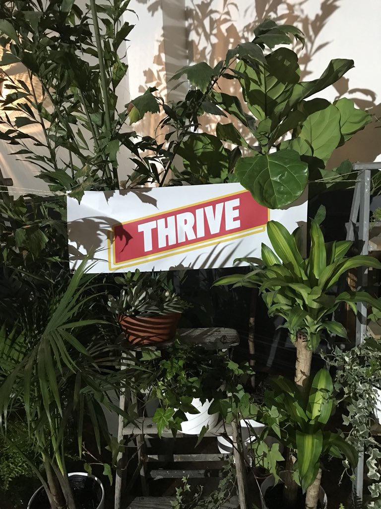 VirginPlus's tweet photo. We’re proud to be apart of Thrive, a convening to help youth across Canada become and stay employed. #Youthrive2018 https://t.co/JZZ7i8sJHS
