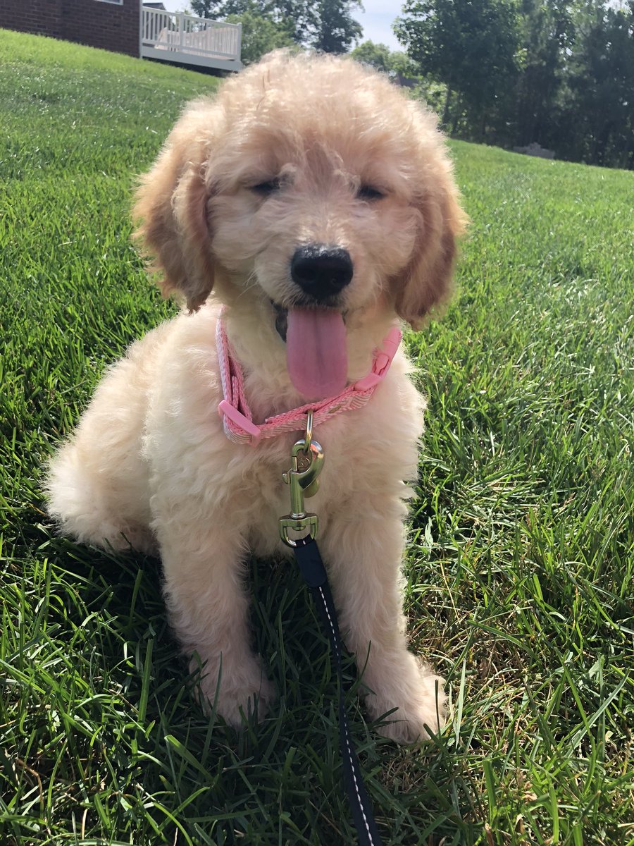 madimaharty's tweet photo. “Kali show me your tongue” https://t.co/RLtPjtDPiI