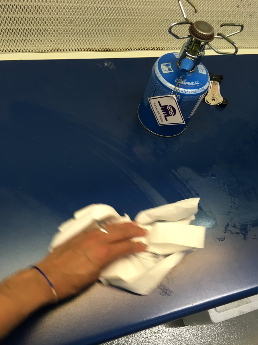 We are going to ‘resurect’ lyophilised rhizobia ATCC10004 1st we prepare our surfaces and work area #DIYbio