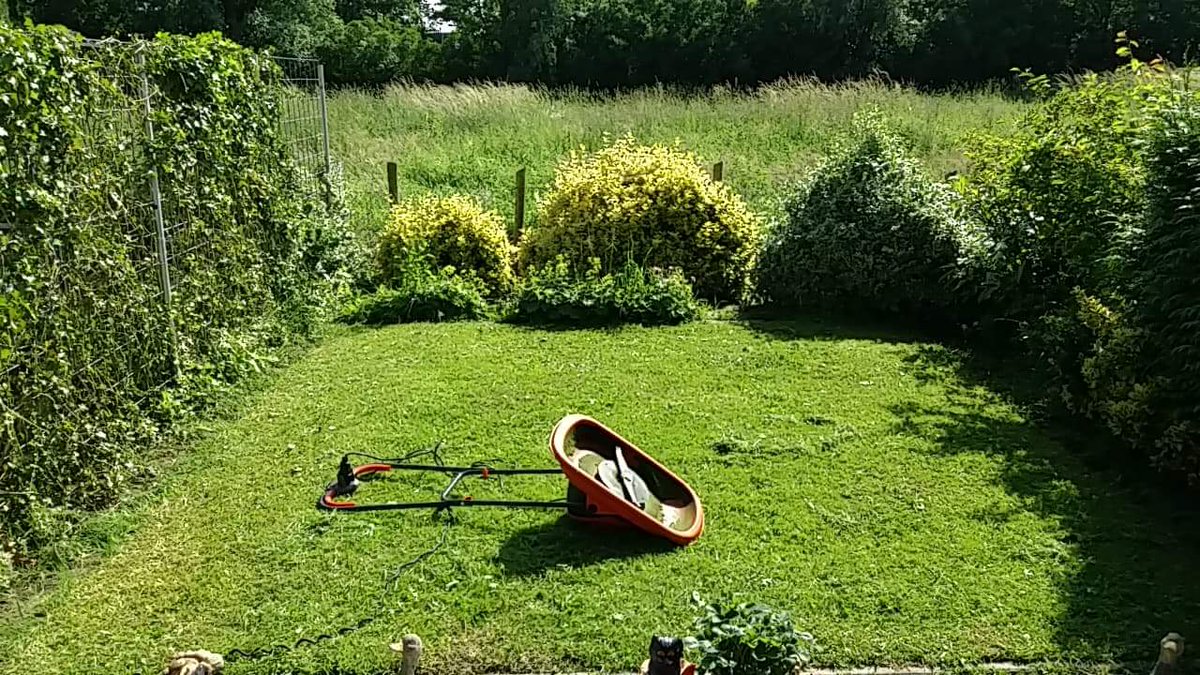 Peter Schop On Twitter Belangrijk Om Gras In De Tuin Te Hebben Hoor Pierre Neemt Het Vele Regenwater Beter Op Dan Wanneer Er Tegels Of Stenen In De Tuin Liggen Goed Bezig