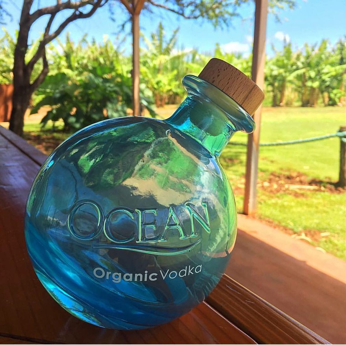 Ocean Vodka OceanVodka Twitter Profile Sotwe