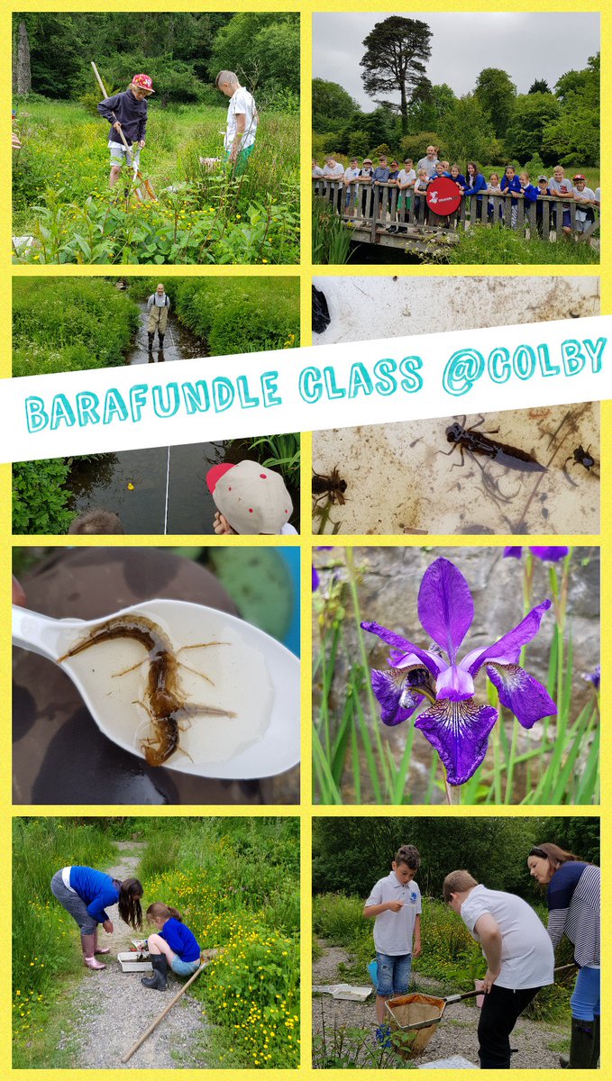 Great day with pupils from Gelliswick VC School today @NTColbyGarden for some pond dipping and kick sampling #outdoorlearning
