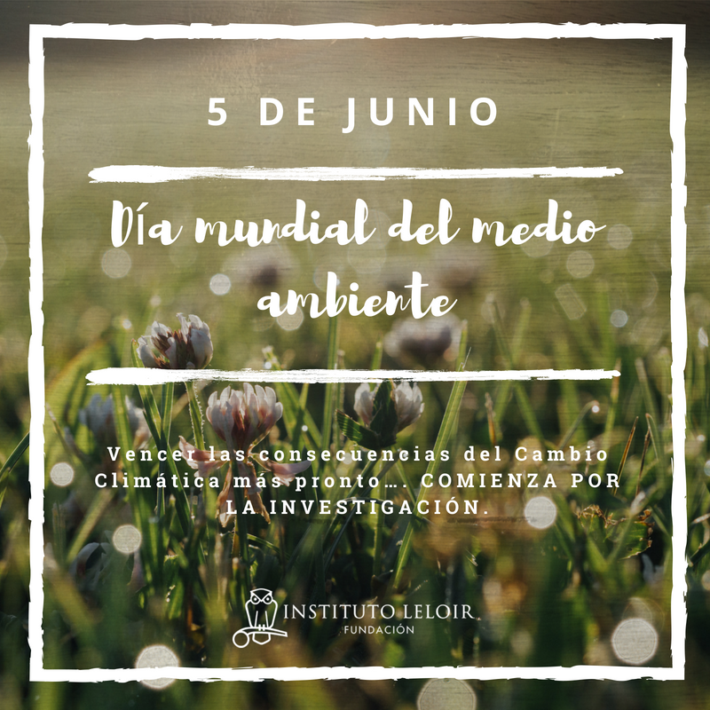 fundacionleloir's tweet photo. Conocé los avances que nuestros científicos están generando y que podrían propiciar en el futuro intervenciones biotecnológicas para mejorar la resistencia de los cultivos al estrés hídrico: https://t.co/ZnP455VbAJ Apoyá a la Ciencia, apoyá a la FIL #WED2017 #cambioclimatico https://t.co/7okpGJRj3J