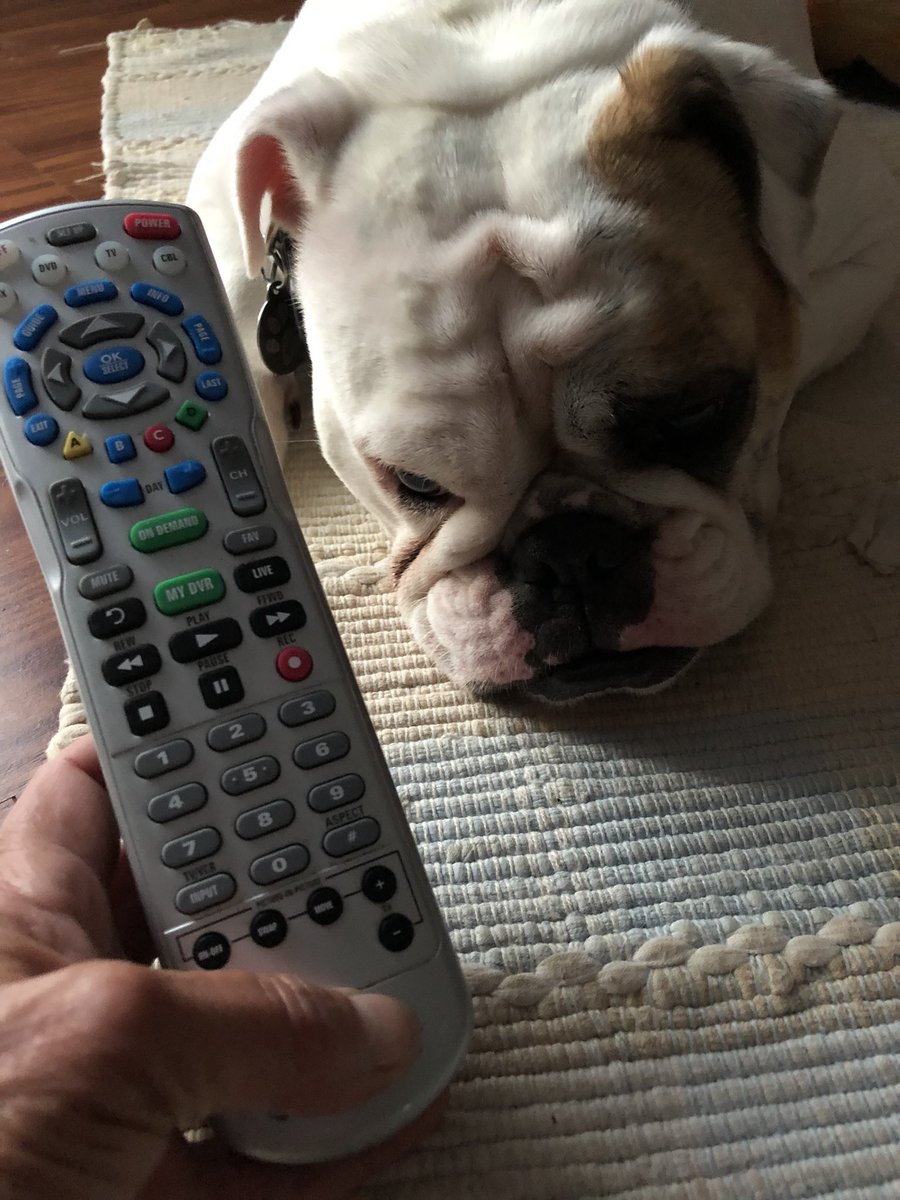 Mum is actually in control of the remote! 😂😂 See how thrilled I am 😜 #dadsaway