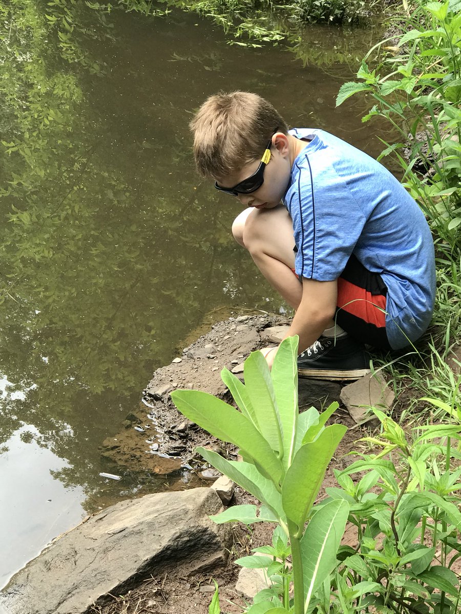 BrenchakMacd's tweet photo. We examined animals from the vernal pools and were able to see tadpoles at difference stages in their transformation to a frog. 🐸 @MacdSchool #maclearns https://t.co/mFuQHWdVJu