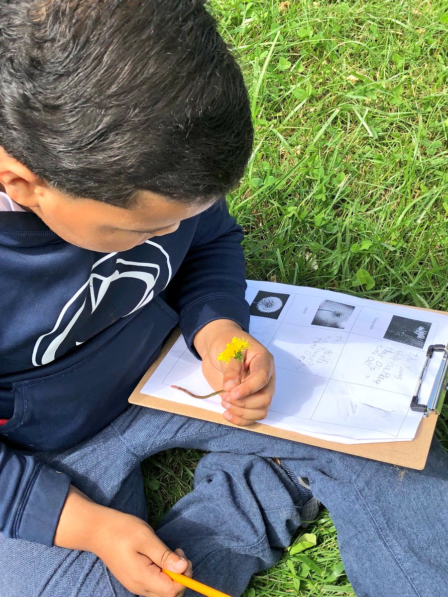 mcclurepanthers's tweet photo. McClure’s 3rd grade Panthers spent the morning at Hunting Park on a scavenger hunt that had them looking for the different stages of a flowering plant...germination, young adult, adult, reproduction. Which ones do you think they found? @PHLschools @Network4News @HuntingParkCAN https://t.co/26AyEescE1