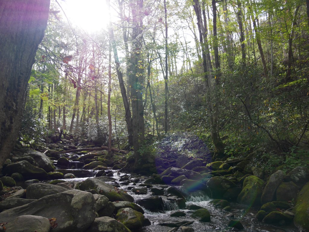sayheytoray's tweet photo. Stop 9: Gatlinburg, TN https://t.co/5ceZfjHkIZ https://t.co/ItpeJ6IKNe