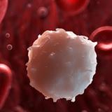ajwrb's tweet photo. Though largely unknown to Jehovah's Witnesses, the Watchtower now permits the use of 100% of blood in fractionated form. Here is a comprehensive look at what can be used by members. #JehovahsWitnesses #Watchower #physicians #bloodtransfusion https://t.co/ZfJUJibGXO https://t.co/PRVIIWy5YD