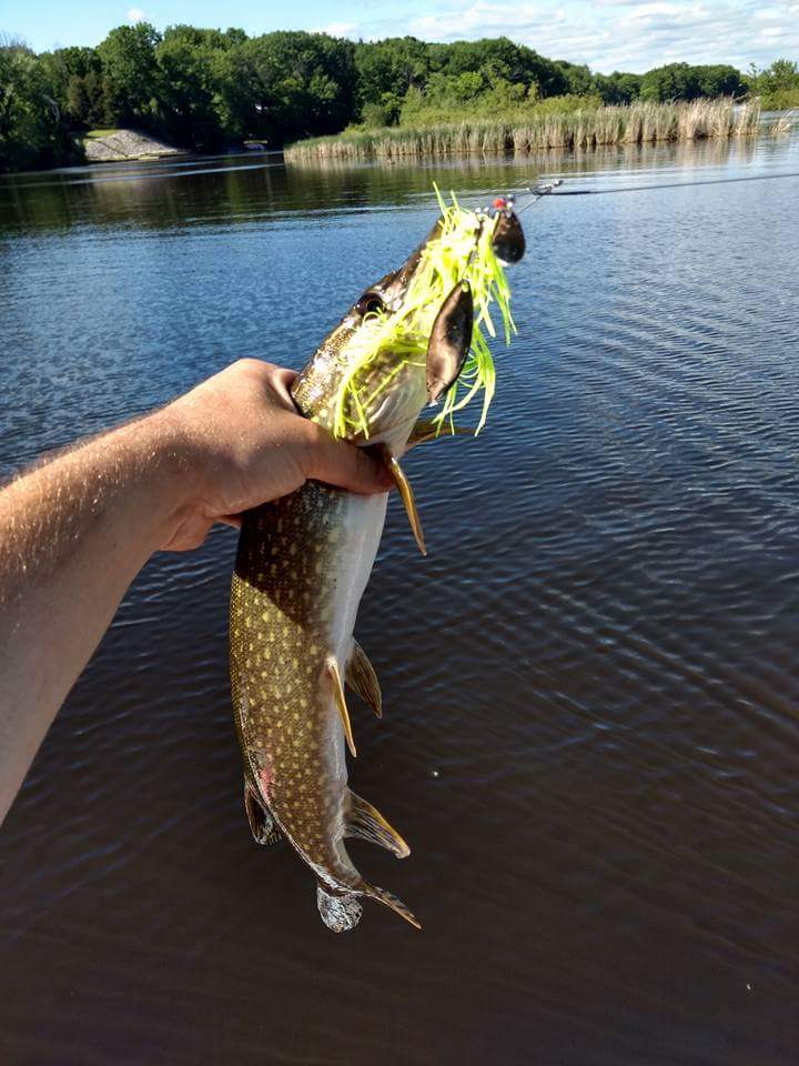 TackleWater's tweet photo. https://t.co/LZ2RHFdwH8