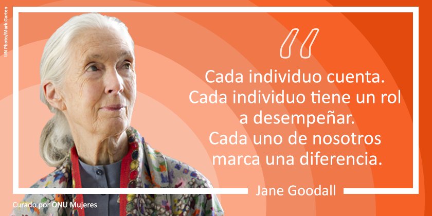 ONUMujeres's tweet photo. 🔬 Científica
🐒 Conservacionista
👣 Humanitaria
En este #DíaMundialdelMedioAmbiente, agradecemos a mujeres pioneras como Jane Goodall por lo que hizo para preservar el planeta. https://t.co/NsJSc6vGm2