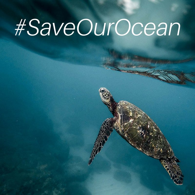 Happy #WorldEnvironmentDay! To ensure the health of our global environment, we must protect our ocean in strong, well-managed #MPAs. 

Support us today, and we'll double your impact to #SaveOurOcean: ow.ly/Ykob30k9nVa