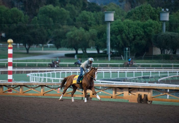 My Racing Tips tweet media