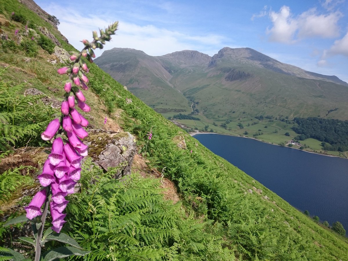 Daxa_PJA's tweet photo. On the way back down from #Yewbarrow with #Lingmell and the #Scafells as a beautiful backdrop... 💕 #LakeDistrict https://t.co/rEumJfuXsY