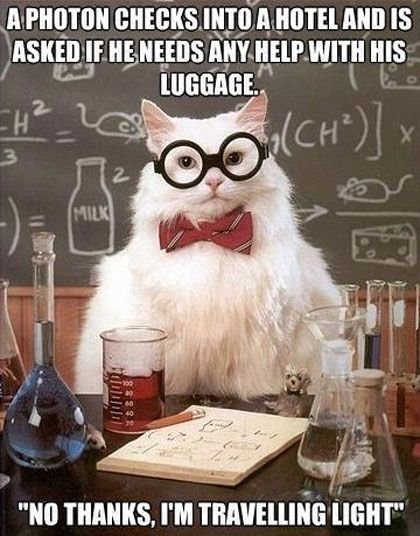 DynasilCorp's tweet photo. This cat has all of the answers!
#scientistcat #animalhumor #photonics https://t.co/xUeKd6FaCL