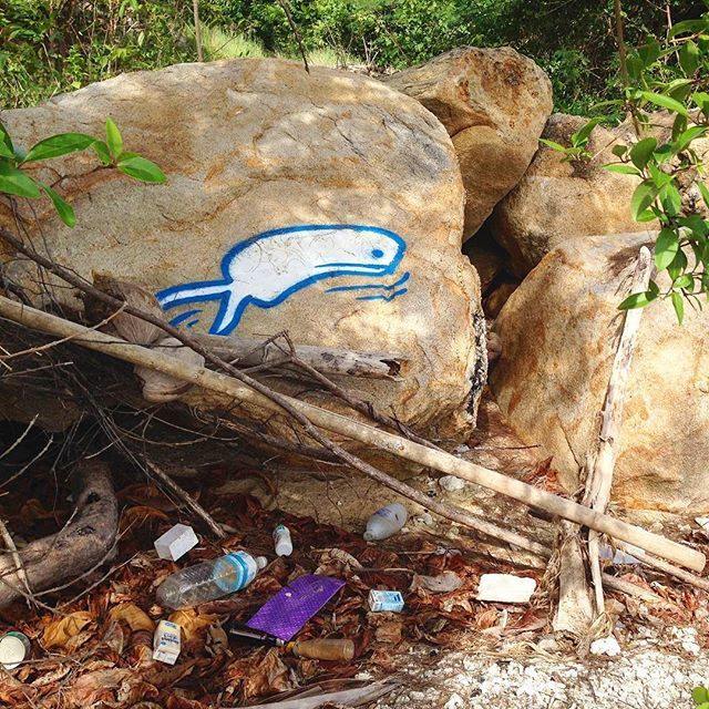 MobyMaps's tweet image. Today is World Environment Day and in 2050 plastic waste will outweigh all the fish in the oceans. YAY! This is a very urgent problem and something we want to try to  help the World come to terms with. We’re working to create an educational campaign to h… ift.tt/2LZJYDu