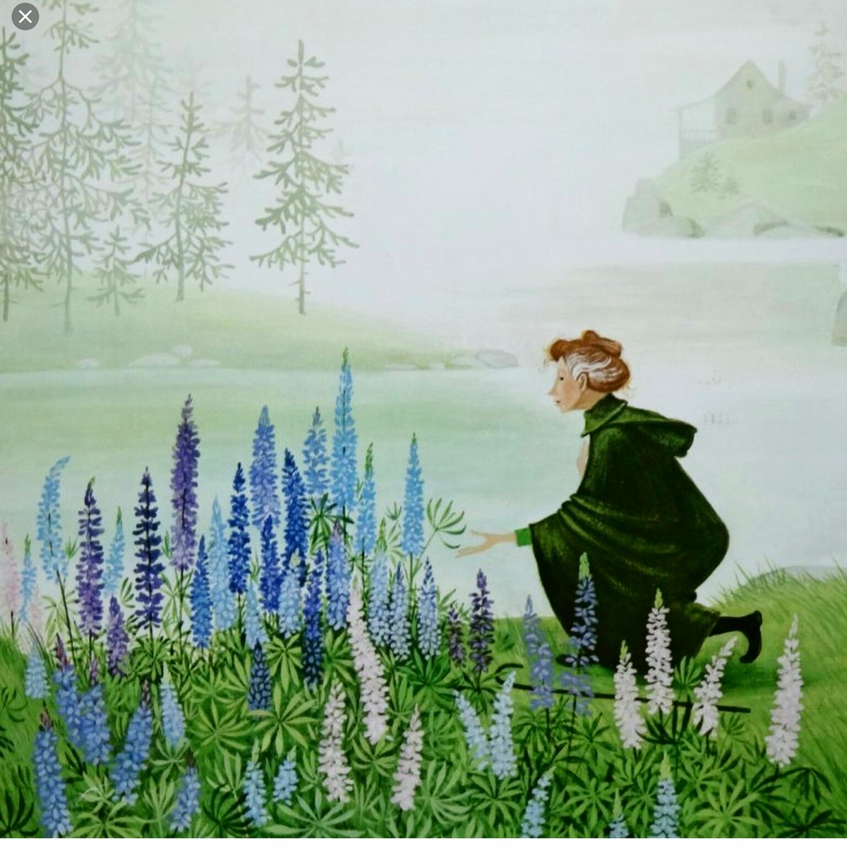 Barnes Noble On Twitter Do You Know The Lupine Lady