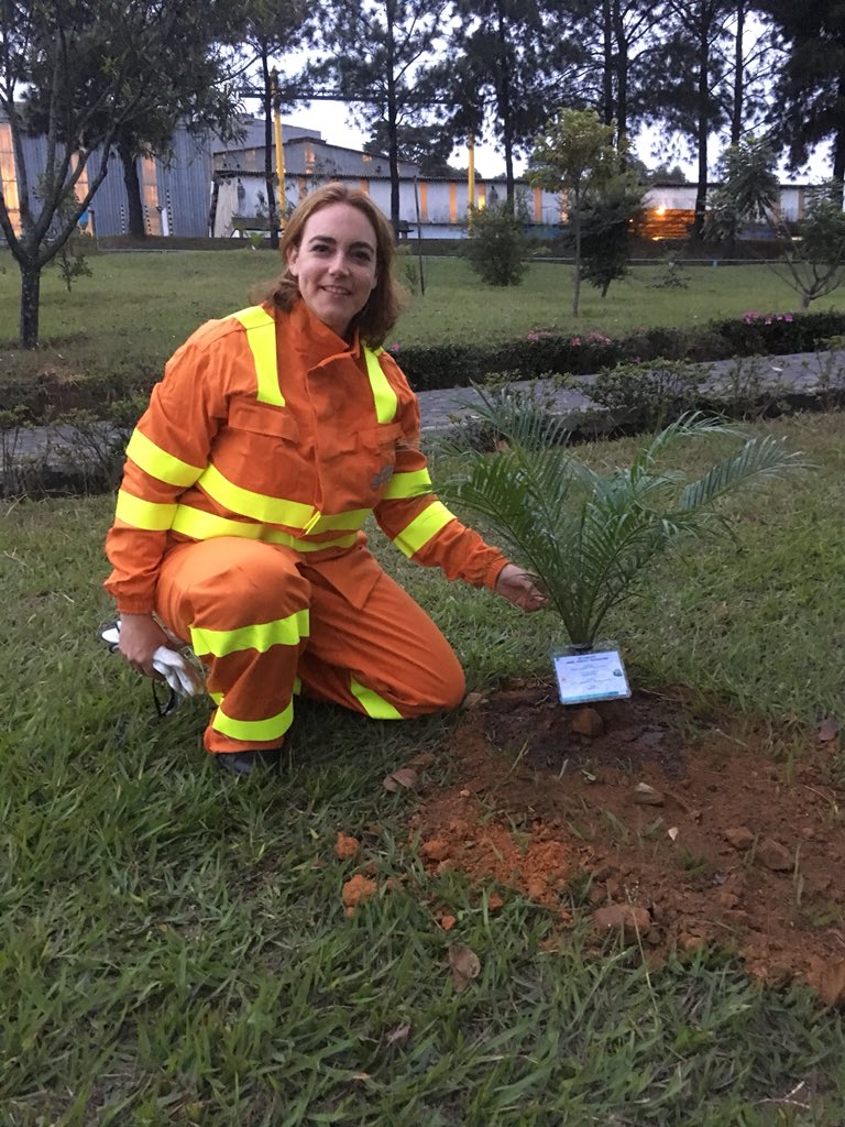 EFenayon's tweet image. For the environmental day, my little contribution to the Brasilan forest by planting this local species of Phoenix Roebelini tree at #Saint gobain #CeramicMaterials # SiC #Barbacena.