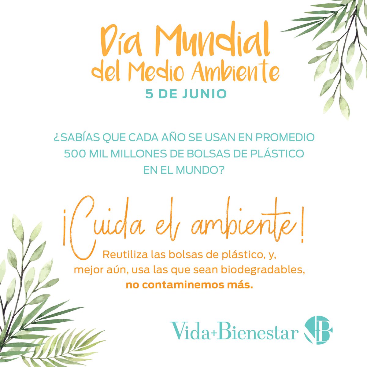 VBienestar's tweet photo. Disminuye el uso de plástico y evita usar unicel y popotes, hay otras alternativas amigables con el ambiente. 🌎🌳🌱 #DíaMundialDelMedioAmbiente #FelizMartes https://t.co/aUx1TyV5Gr
