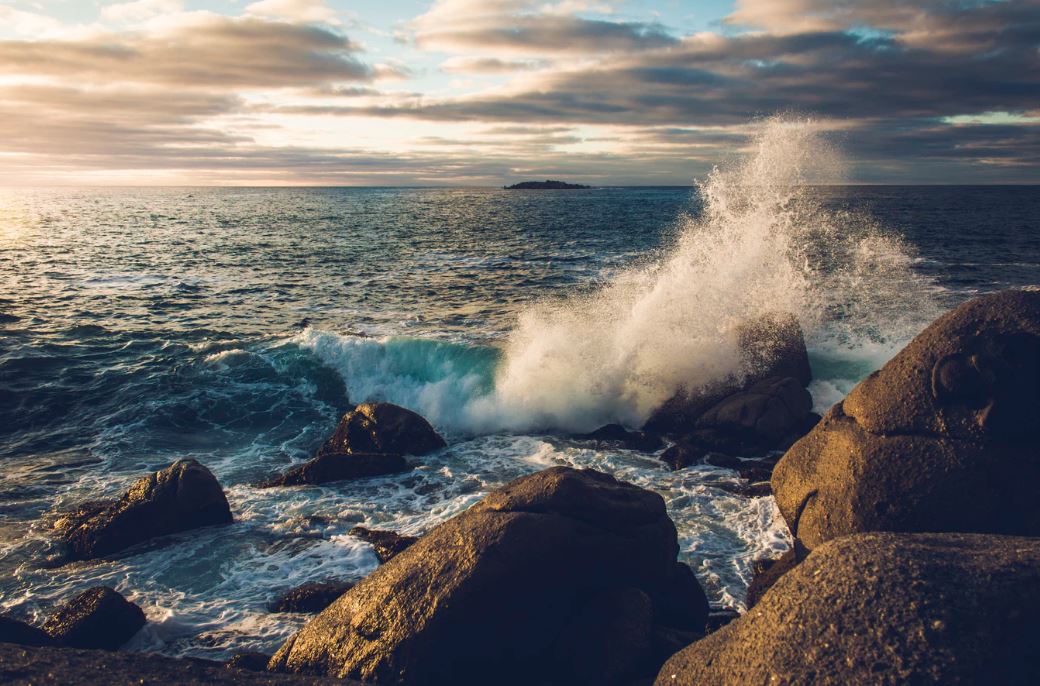 "The Earth is what we all have in common" - Wendell Barry 
#WorldEnvironmentDay