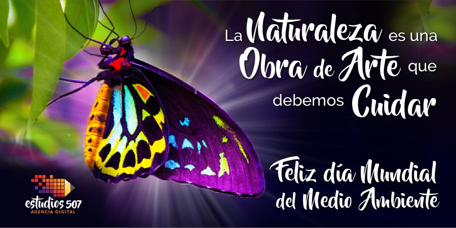 La Naturaleza es una Obra de Arte que debemos Cuidar ¡Feliz Día Mundial del Medio Ambiente!
