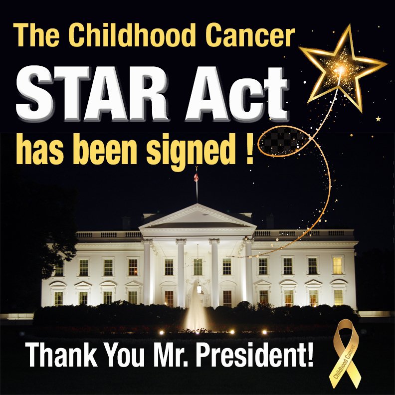 JoeBaber1's tweet photo. The #ChildhoodCancer #StarAct has been signed! Please thank everyone you know who helped get this done! Don't forget to thank your Representative and Senators and of course, the President! @KatiePierantozz @erinforever14 @AmandaHaddock @fourfirs @scwithpurpose @leezawilllshe https://t.co/PYNjqI15WM