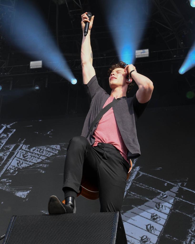 Breathe4Mendes2's tweet photo. #GovBall2018 https://t.co/H86X11Mbto
