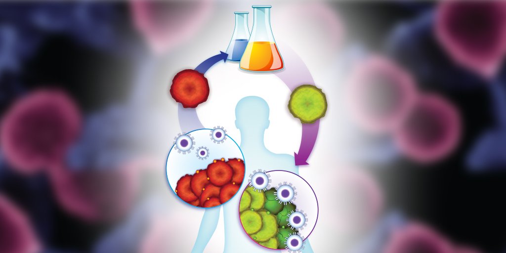 thePMCF's tweet photo. Adaptive T-Cell therapy. Another way the #PrincessMargaretCancerCentre steps out at the forefront of research. Modifying the human immune system to fight cancer.
#Immunotherapy
https://t.co/flTTF3BBgb https://t.co/nFE0jG9ZVG